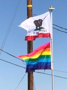 Flags of My Birthrights - Pride Flag 6