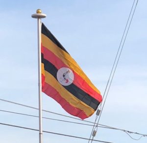 Ugandan Flag 5