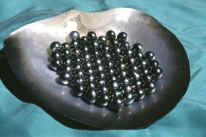 Tahiti Black Pearls 1