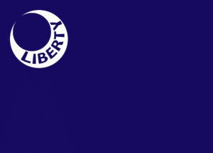 Moultrie Flag 1