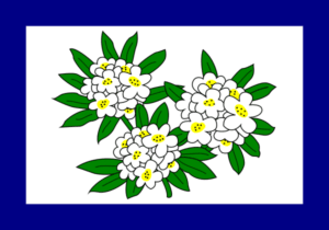 West Virginia State Flag 1905-1907