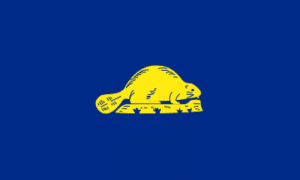 Flag of Oregon Reverse