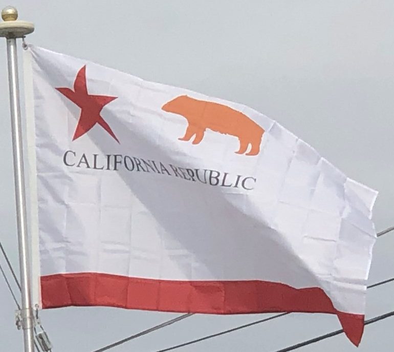 Original California Bear Flag