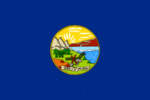 Montana State Flag 1905-1981