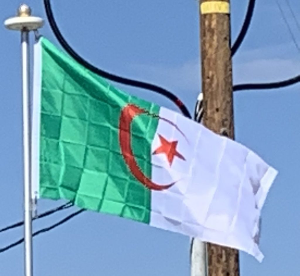 Algeria Flag on Our Flagpole