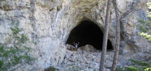 Wilson Butte Cave