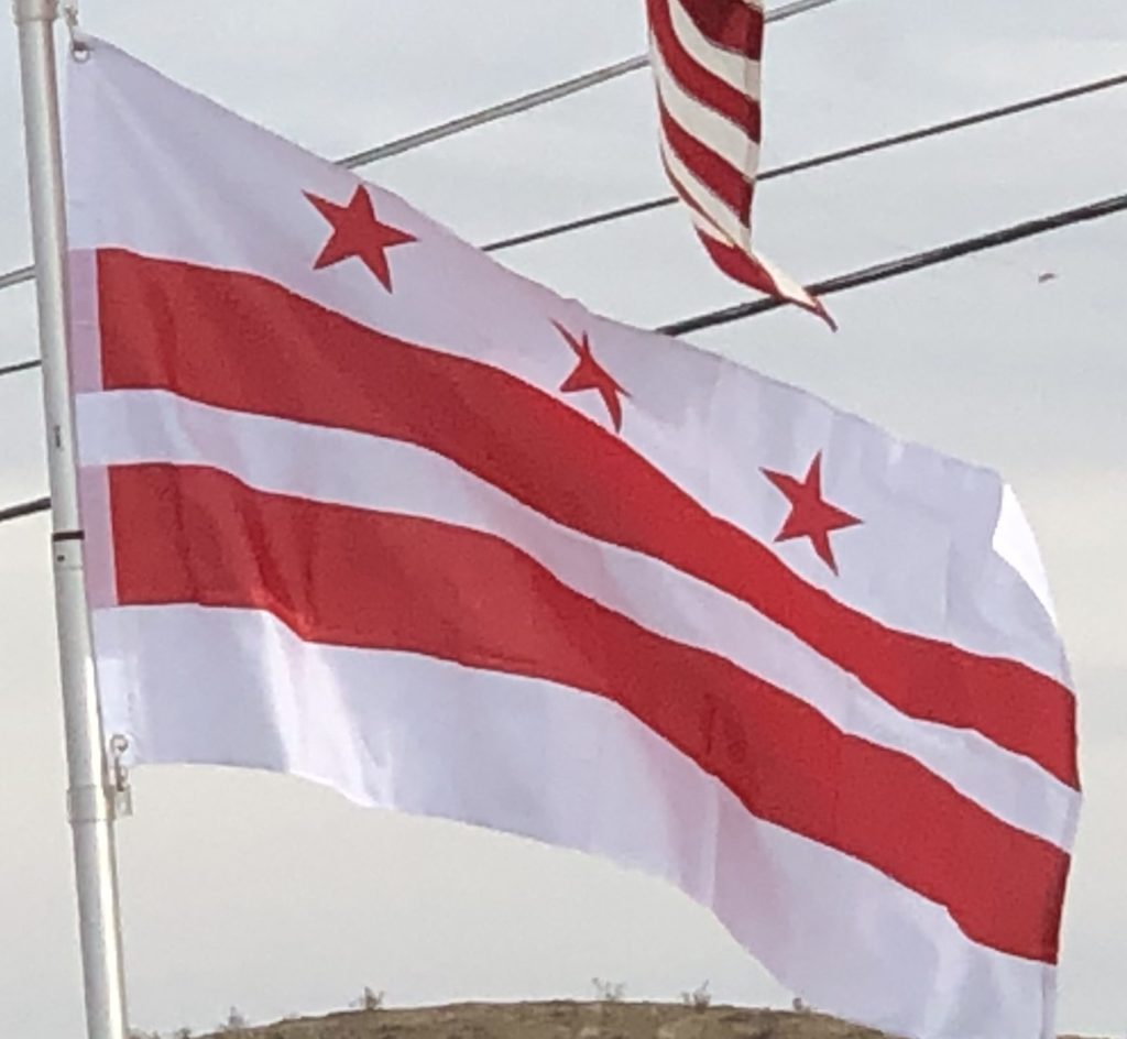 Washington DC Flag on Our Flagpole