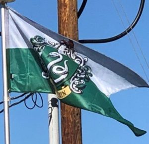 Slytherin Banner on Our Flagpole