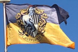 Hufflepuff Banner on Our Flagpole