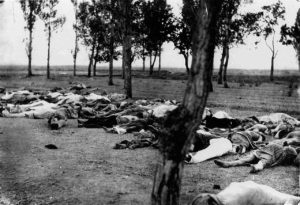 Armenian Genocide victims in 1915