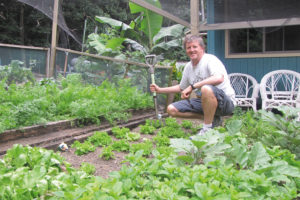 Lord Howe Island Vegetable Garden