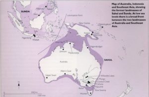 Aboriginal Australians 4