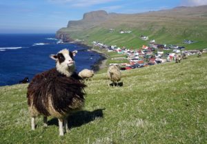 Faroe Islands 4