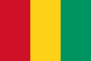 Guinea 3