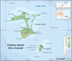 Chatham Islands 5