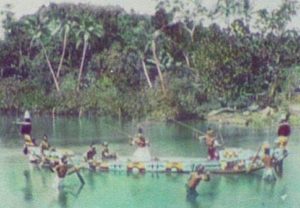 Solomon Islands 5