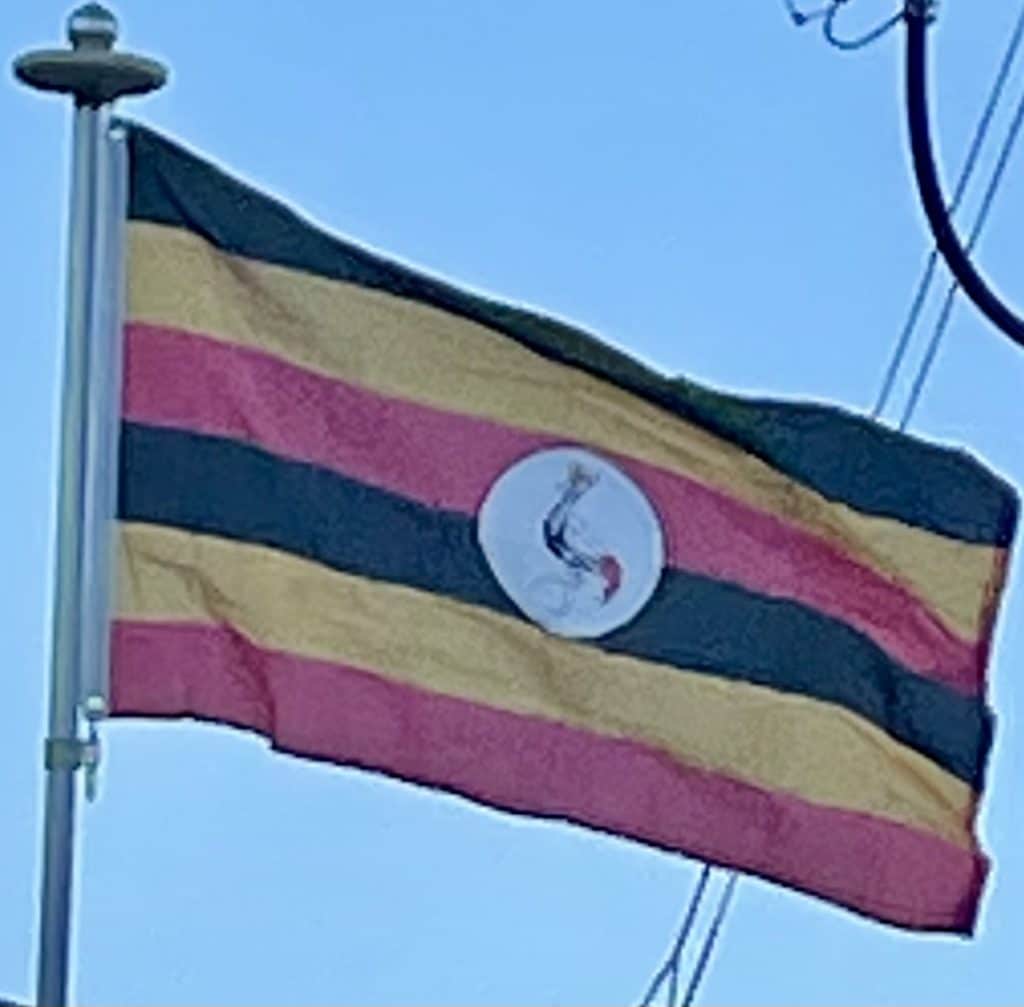 What's That Flag? 2